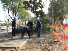 吳中區蒯祥路路燈114旁電纜井基礎維修