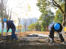 吳中區蒯祥路路燈114旁電纜井基礎維修